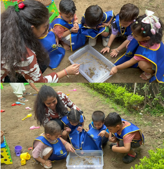Insect Day